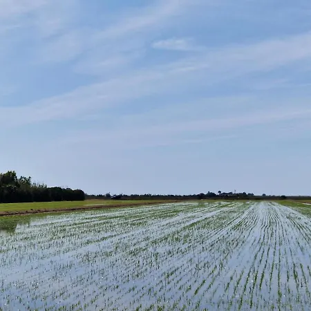 Apartamento Ca La Rosa